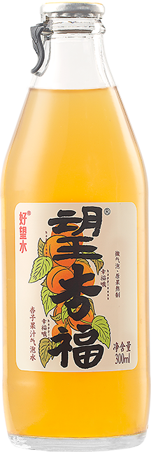 HWS Compound Carbonated Drinks Apricot 好望水 望杏福 24btls*300ml
