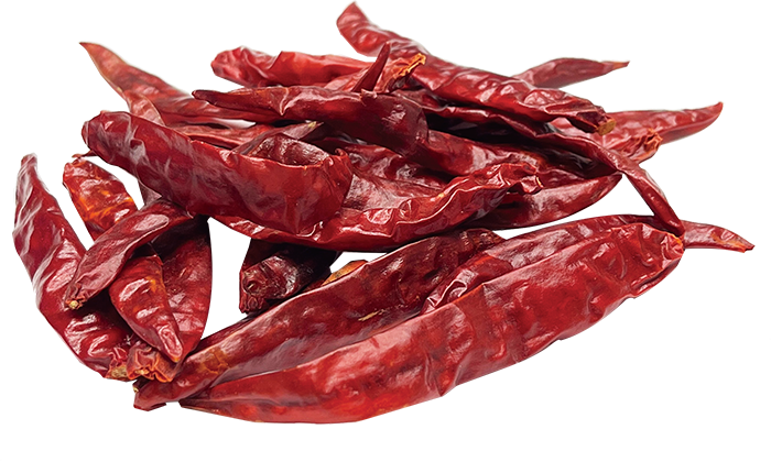 DRIED CHILI S17 (INDIA) S17 印度辣椒 S17 1bag*22lb