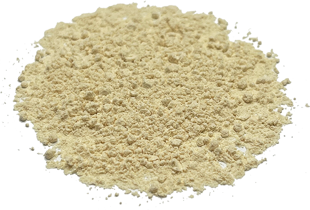 Garlic Powder 100-120 MESH 蒜粉 100-120 Mesh 2bags*27.5lb