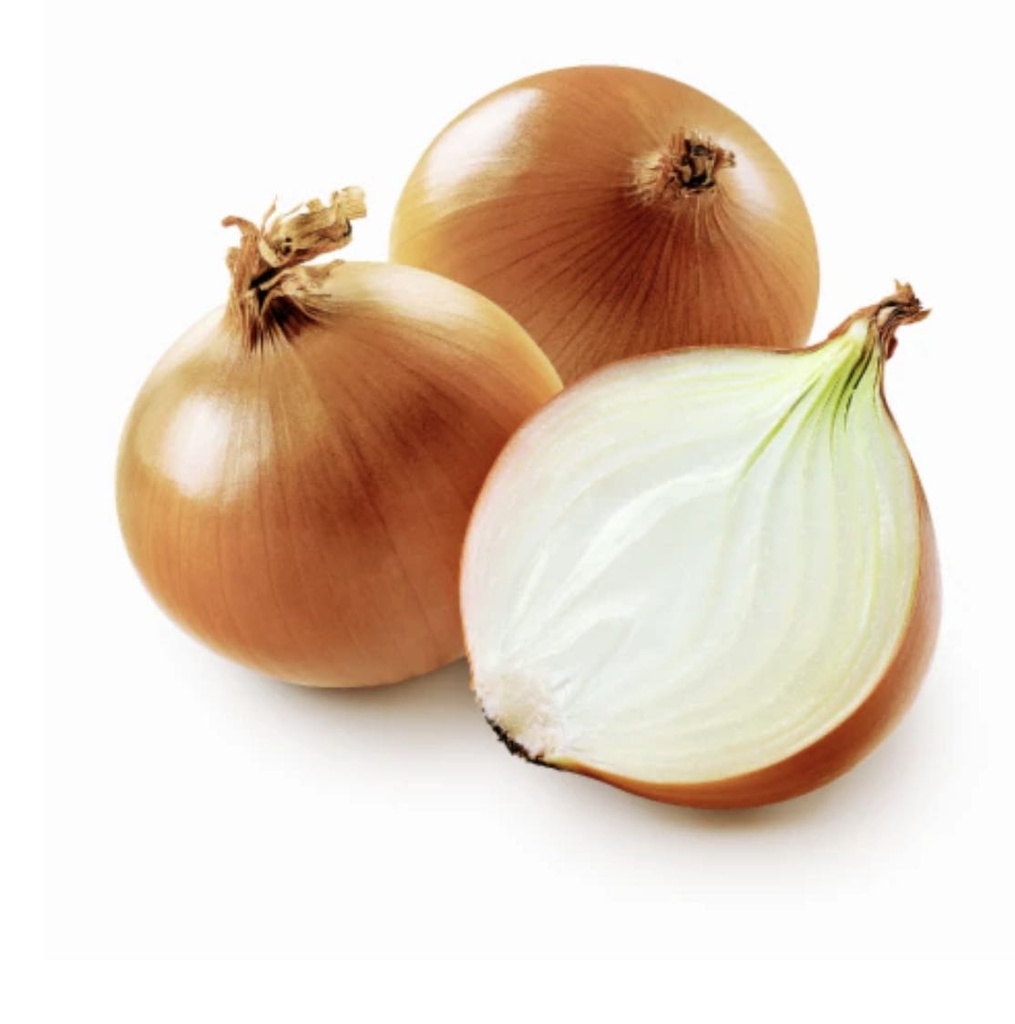 JUMBO Yellow Onion 黄洋葱 1bag*50lb