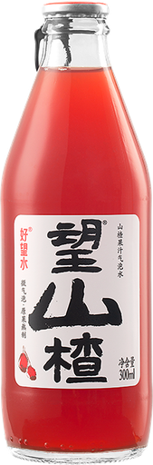 [A41101] HWS Compound Carbonated Drinks Hawthorn 好望水 望山楂 24btls*300ml