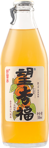 [A41103] HWS Compound Carbonated Drinks Apricot 好望水 望杏福 24btls*300ml